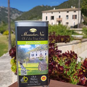 Llauna alumini 250ml